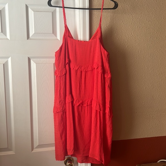 Express - Picture 5 of 5